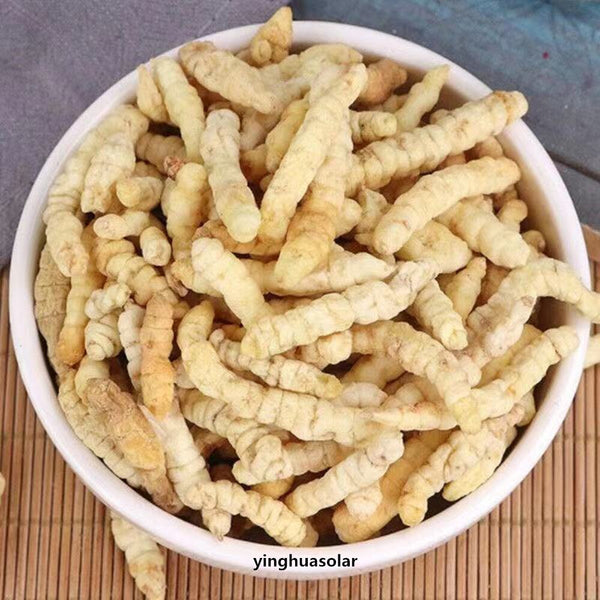 Organic Stachys Affinis Chinese Artichoke 초석잠 500g Insomnia Frequent Micturition