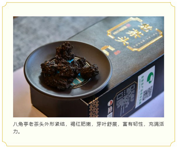 LAO CHA TOU * Ba Jiao Ting Pu-erh Pu'er 5 Years Aged Puer Tea 400g Ripe Cha