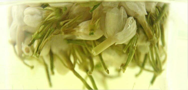 Organic Jasmine Flower Tea Floral Dried Buds Herbal Natural Fragrance Tea