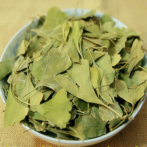 Dried Ginkgo Biloba Leaf Tea Health Pure Natural Anti-aging Green Chinese Herbal