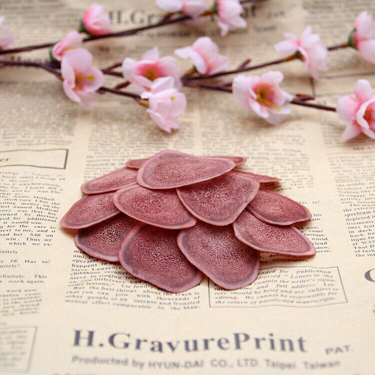 Natural Red deer velvet antler slices / Lu Rong Slices Herb Good for health 鹿茸片