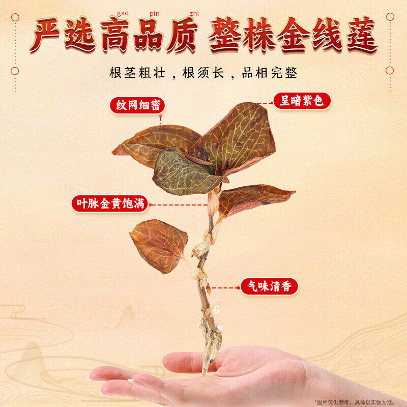 30g TongRenTang Goldenseal 同仁堂金线莲30g/盒 精选福建林下整株 可泡茶 汤色金黄 醇香耐泡 NEW Secondary image