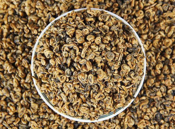 TeaPremium Golden Snail Dian Hong Jin Luo Handmade Pure Bud China Yunnan Black Tea