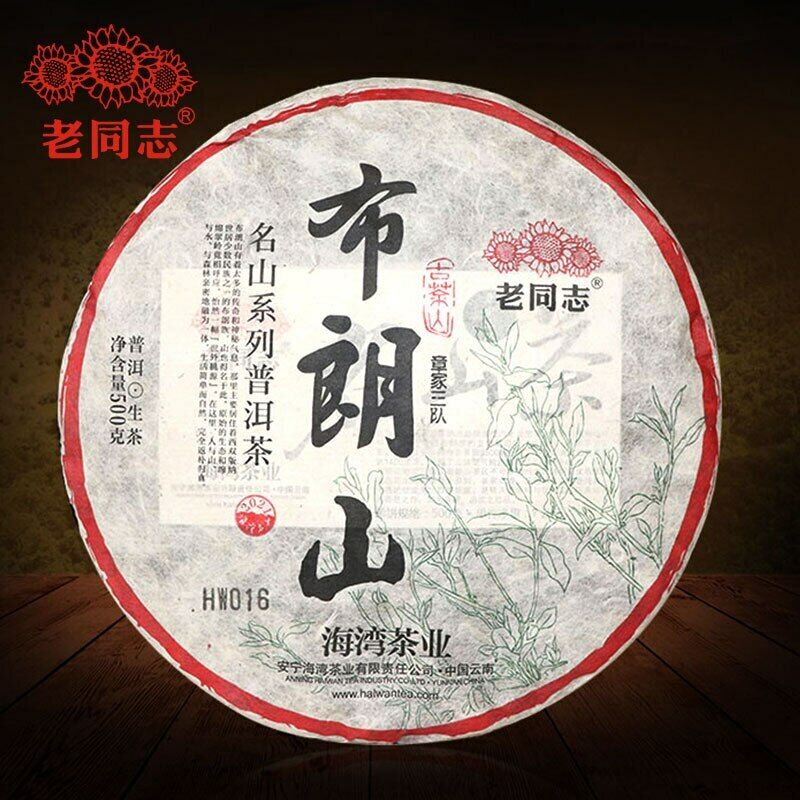 Haiwan Zhang Jia San Dui Raw Puer Tea Bulang Mountain Sheng Puerh 500g Main image