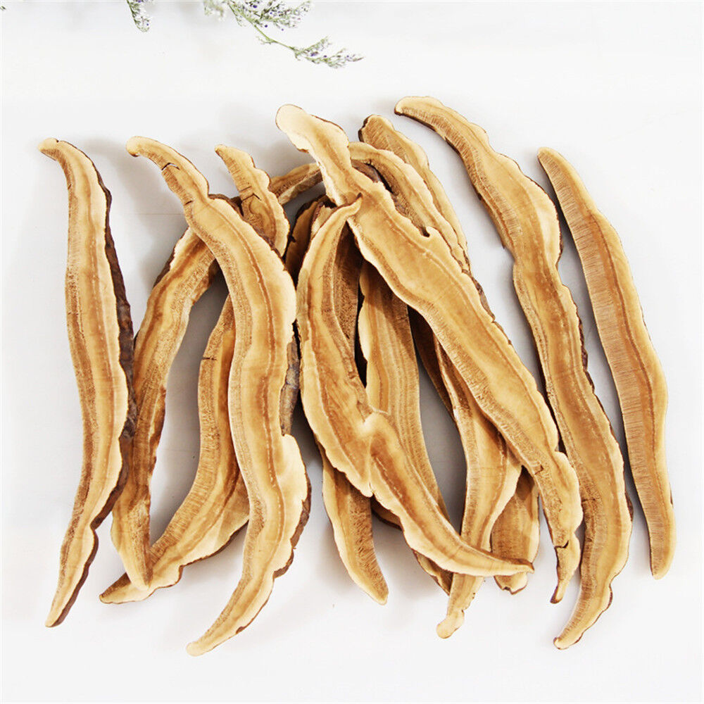 dried ganoderma lucidum ganoderma mushroom ganoderma lucidum slices herbs 8.8oz Main image