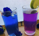 Premium Dried Organic Butterfly Pea Flower Tea