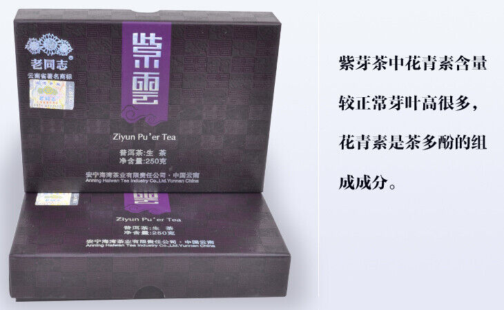 Purple Bud Ziyun Pu'er Tea * Haiwan Old Comrade Puer Pu Erh Brick Raw 250g