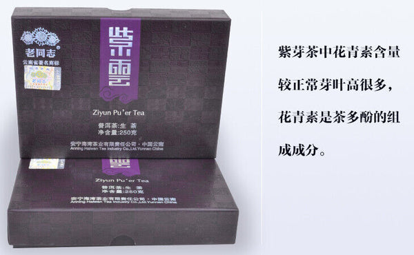 Purple Bud Ziyun Pu'er Tea * Haiwan Old Comrade Puer Pu Erh Brick Raw 250g