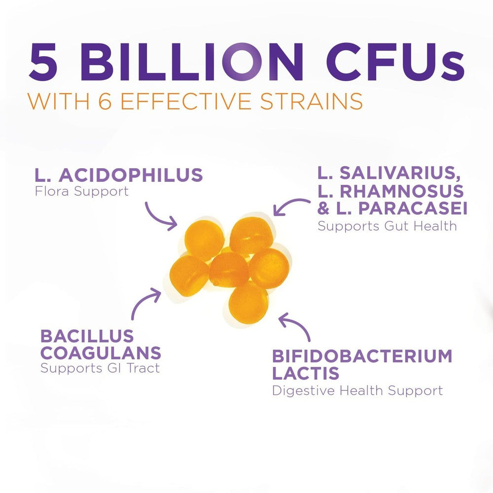 Daily Probiotic Gummies-5Billion CFU Extra Strength Probiotic Supplement 60 Pcs