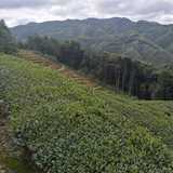 250g Flower Fragrance Narcissus Oolong Tea Carbon Baked Wuyi Rock Tea Loose Leaf