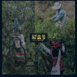 新益号 特沱500g Pu'er tea Chinese new raw tea natural health beauty普洱茶 生茶 沱茶 生普 茶叶 新茶