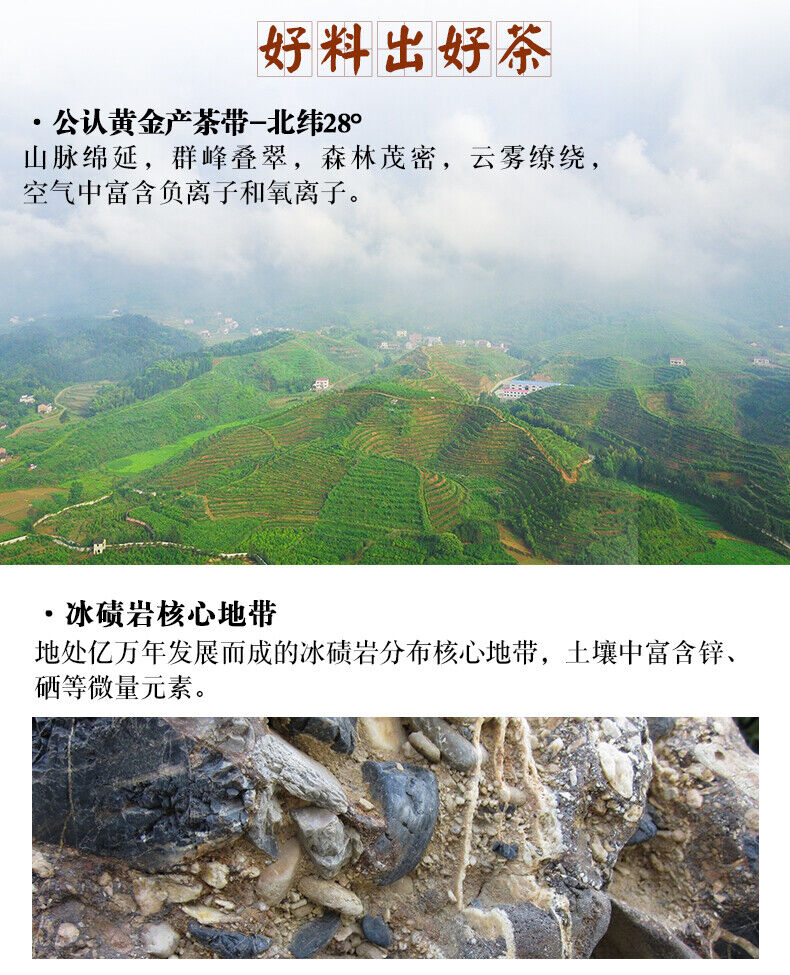 BAISHAXI Straight Foam Brick Anhua Golden Flowers Fucha Dark Tea 240g Brick