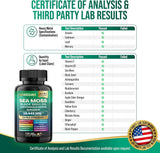 Sea Moss Bundle Black Seed Multivitamin & Shilajit Power Combo USA
