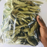 Hojas De Guayaba Leaf 50 g-500 g Premium Dried Guava Leaves