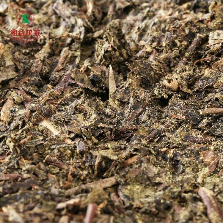 Hunan Fu Tea Fucha Special Made Yiyang Anhua Dark Tea Hei Cha Fu Brick Tea 300g