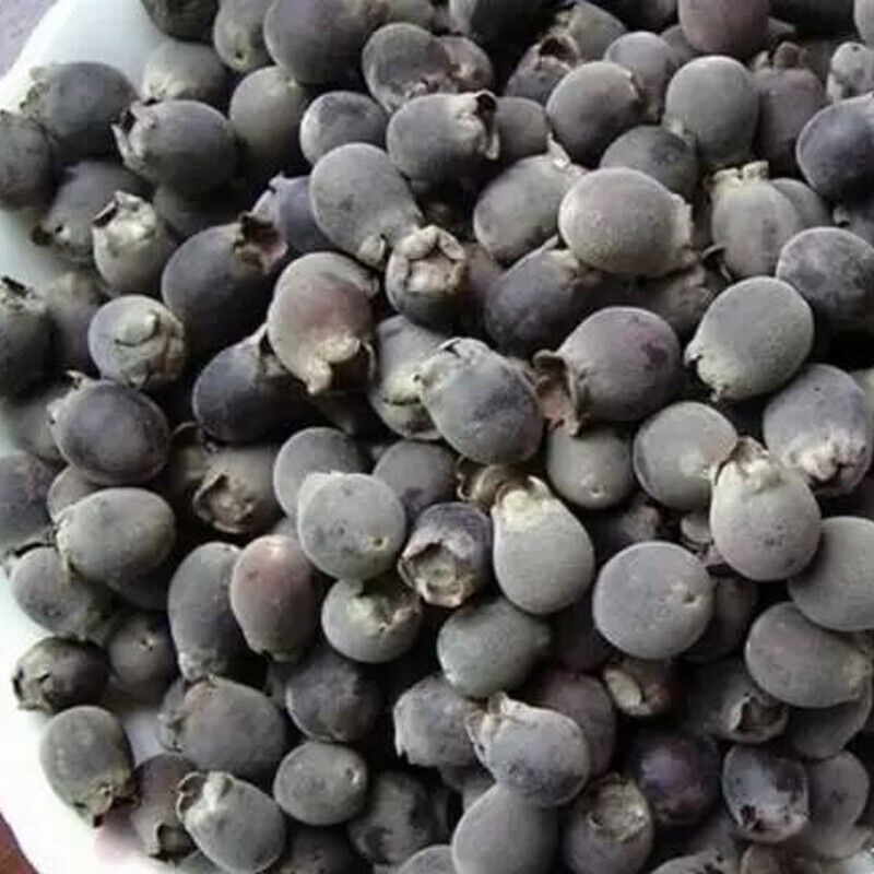 250/500g Dried Rhodomyrtus Tomentosa Fruit, Dried Herbal Tea Renzi Tea Jinxiang Main image