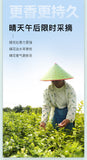 EFUTON Mo Li Pearl Jasmine Green Tea Jasmine Dragon Pearl Tea Jasmine Tea 200g