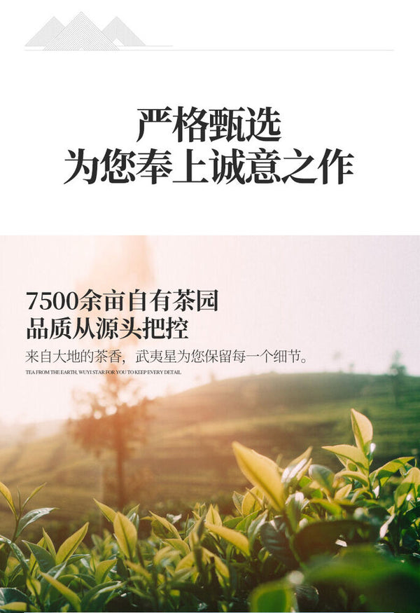 WuyiStar Rougui Rou Gui Oolong Fujian Wuyi Mountain Rock Tea YanCha 100g Bag