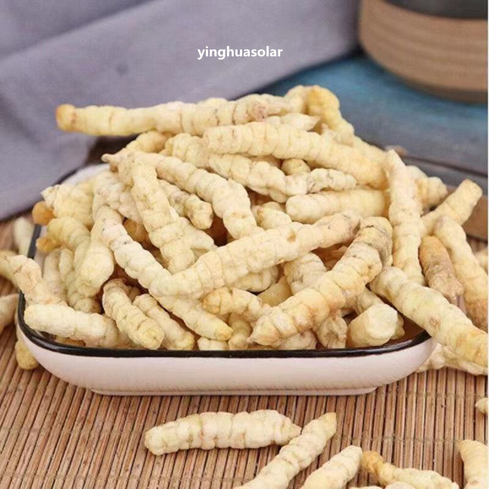 Organic Stachys Affinis Chinese Artichoke 초석잠 500g Insomnia Frequent Micturition