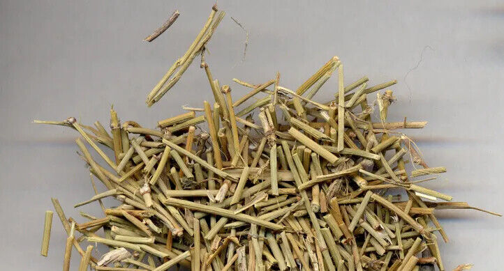 500 Pure China Green Tea Wild Tea Health Herbs Huang Tea Loose Weight Freeship Secondary image