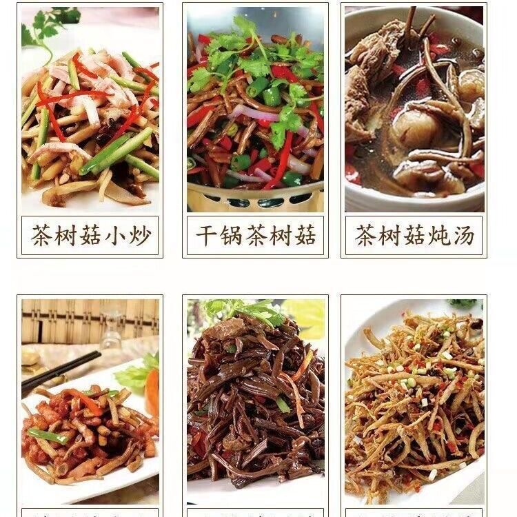 Natural Tea Tree Mushrooms agrocybe cylindracea Dried Mushrooms Kitchen Food 茶树菇