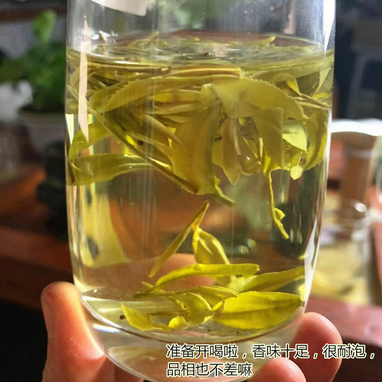 Chinese Anji Jin Ya Green Tea An Ji Golden Buds Bai Cha