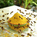 100% Natural Bee Pollen Medicinal  Herbs  Harvest High Quality