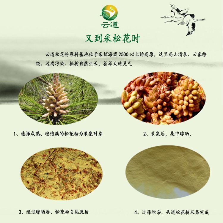 Yunnan Shell-broken Pine Pollen Tablet 100g 99% Cracked Cell Wall Herbal Extract