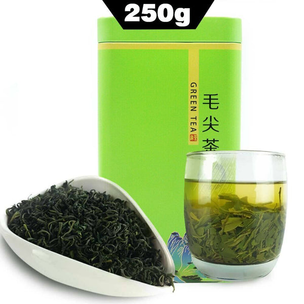 Fresh Maojian Tea 250g Xinyang Mao Jian Green Tea for Weight Loss Gift Pack