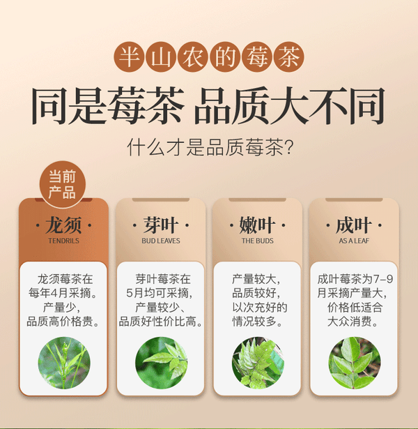 Premium Chinese tea,  Asparagus berry tea