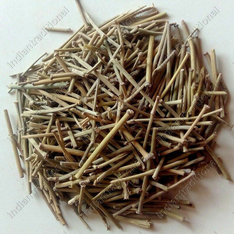 Lot Somlata Gerard Jointfir Khanta Asmania Gerardiana Herb Branch Stem Herbal