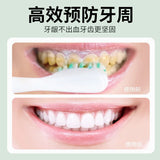 Green Salt Tooth Powder 300g/can 青盐炮附牙粉300g/罐 青盐炮附 美白牙齿 美白粉 HOT