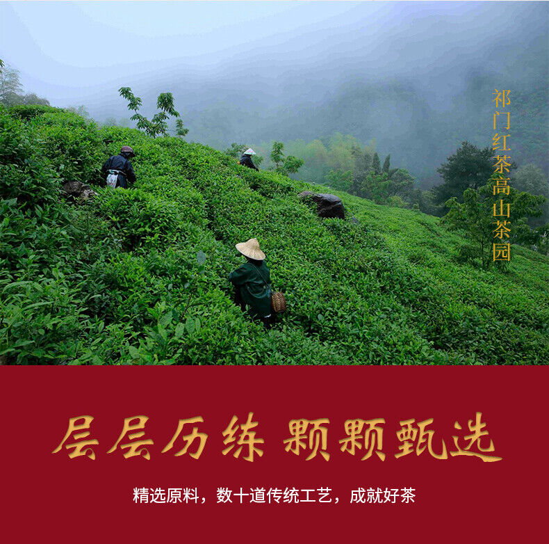 TeaChinese Keemun Black Tea 100g Anhui Premium Qimen Qi Men Gongfu Hong Cha
