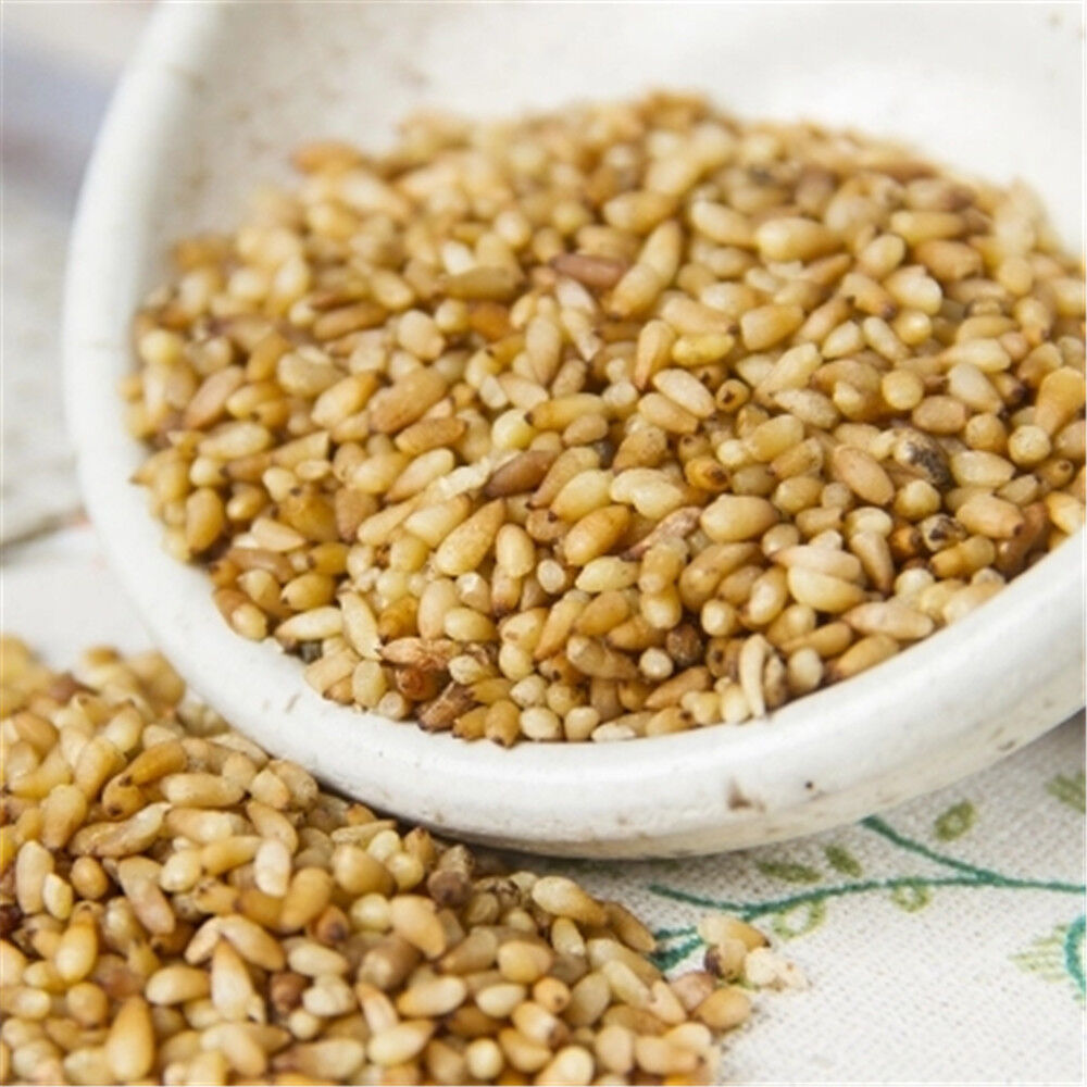 Medicinal Chinese Herb Bai Zi Ren Semen Biotae Orientalis 100% Natural
