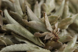 Yunnan White Buds Pu-erh Tea Raw Puer YABAO Bai Ya Bao Shen Puerh Loose Leaf