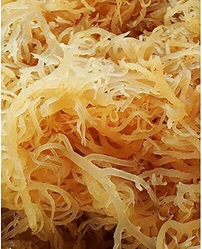 Organic Whole Leaf Irish Moss Sea Moss 8.8 Oz | Raw WildCrafted Superfood