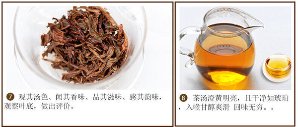 Hunan Junshan Huang Cha Jun Shan China Yellow Tea Mini Gold Coin Cake 30g Box