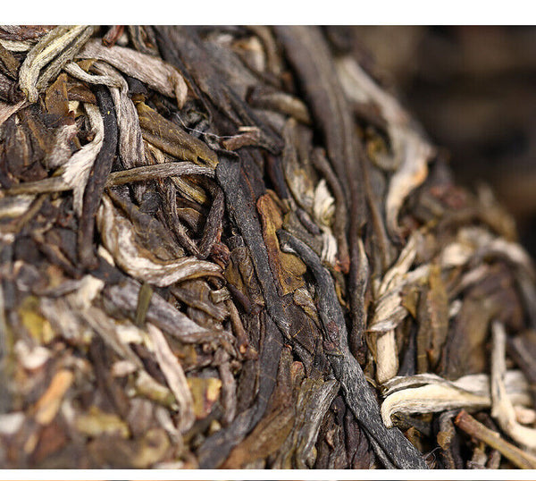 Haiwan Zhang Jia San Dui Puer Raw Tea Bulang Famous Mountain Aged Tree 500g