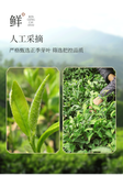 Spring Tea Xin Yang Mao Jian Xinyang Maojian Downy Tip Chinese Green Tea 250g