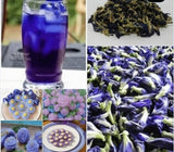 Premium Dried Organic Butterfly Pea Flower Tea