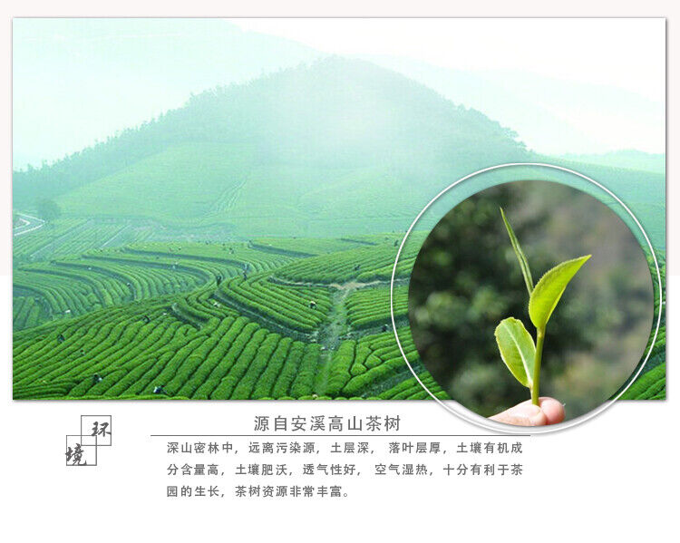 Strong Aroma Flavor Chinese Tieguanyin Oolong Tie Guan Yin Tea Iron Goddess