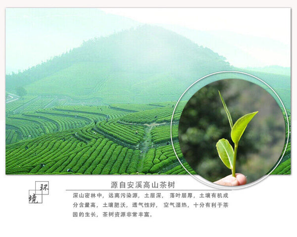 Strong Aroma Flavor Chinese Tieguanyin Oolong Tie Guan Yin Tea Iron Goddess