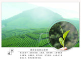 Strong Aroma Flavor Chinese Tieguanyin Oolong Tie Guan Yin Tea Iron Goddess