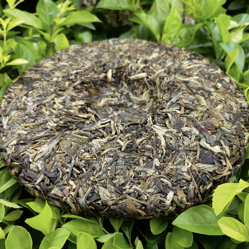 Puerh Sheng Tea Pu'er Green Tea 357g Menghai Pu-erh Tea Cake Xigui Old Tree