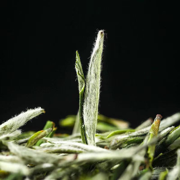 250g Huangshan Maofeng Green Tea High Mountain Chinese Tea Loose Leeaf Green Tea