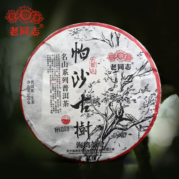 Haiwan Pa Sha Ancient Tree Raw Puer Tea Aged Tree Sheng Puerh Tea 500g