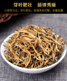 TeaSupreme Organic Yunnan Golden Bud Dian Hong * Yunnan Black Tea Dianhong