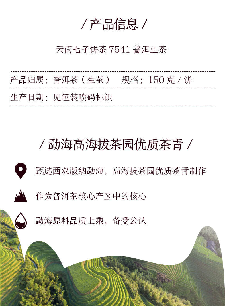 CHINA TEA Puer Raw Puerh Tea 7541 Classic 150g ZhongCha Liushan Tea Boxed