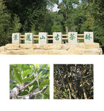 357g Moon White Tea Aged Pu-erh Tea Cake Pu'er Tea Moonlight Beauty Tea