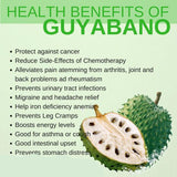 Organic pure natura Graviola Annona Muricat Tropical Dried Soursop Fruit powder